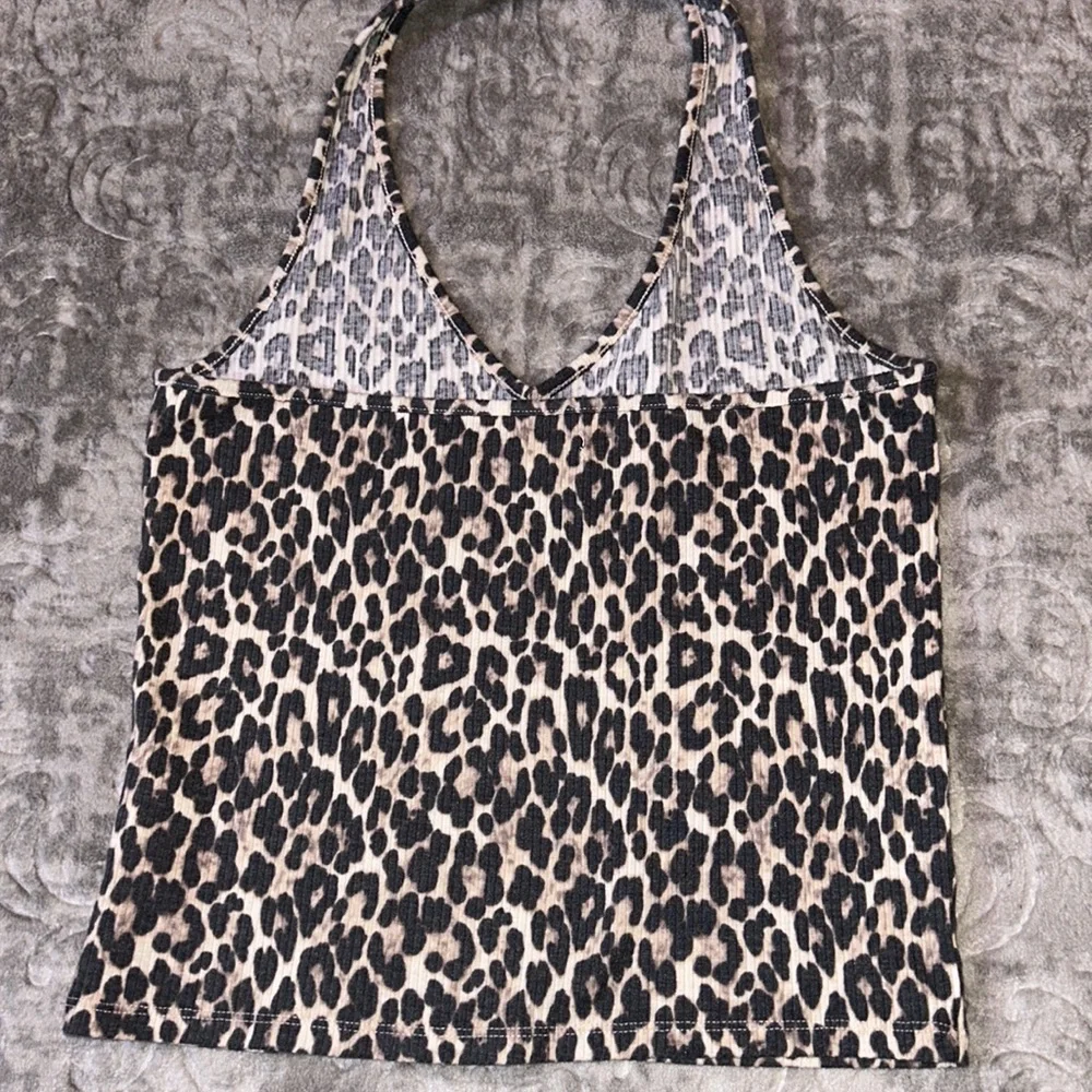 American eagle - Picture 4 of 5